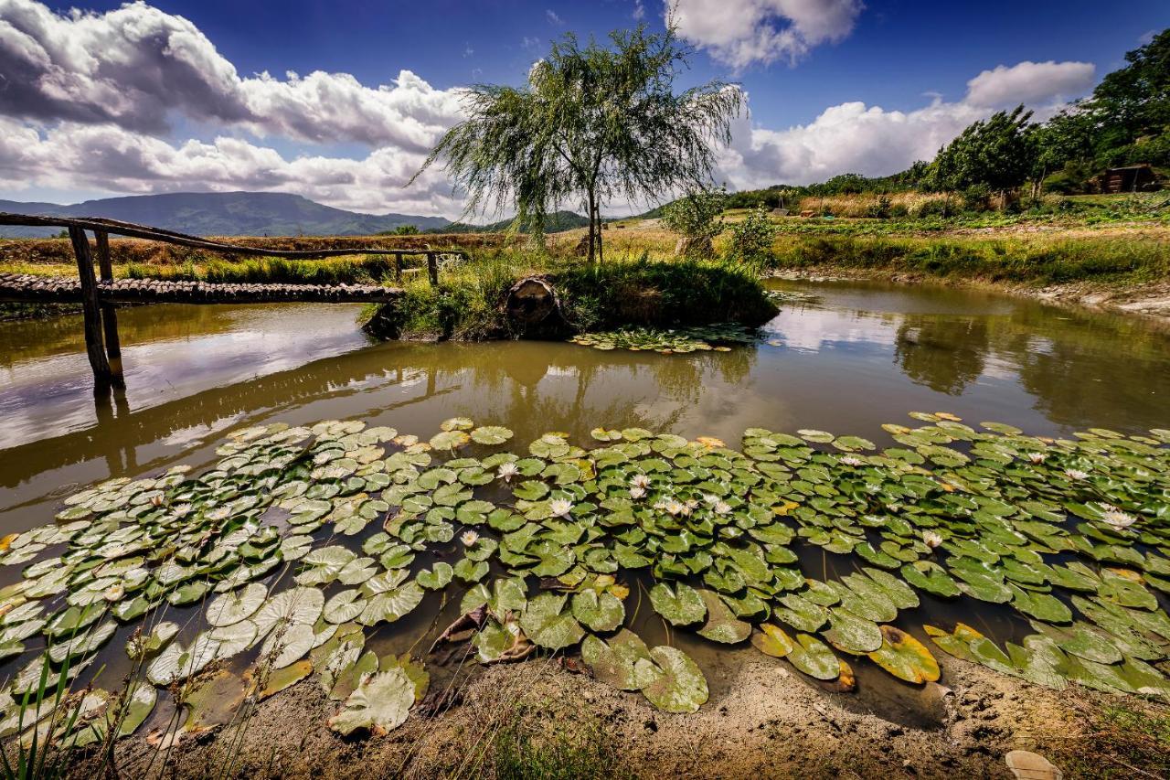 Agriturismo Biologico Autosufficienza Баньо-ди-Романья Экстерьер фото