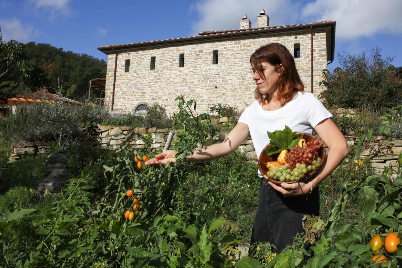 Agriturismo Biologico Autosufficienza Баньо-ди-Романья Экстерьер фото