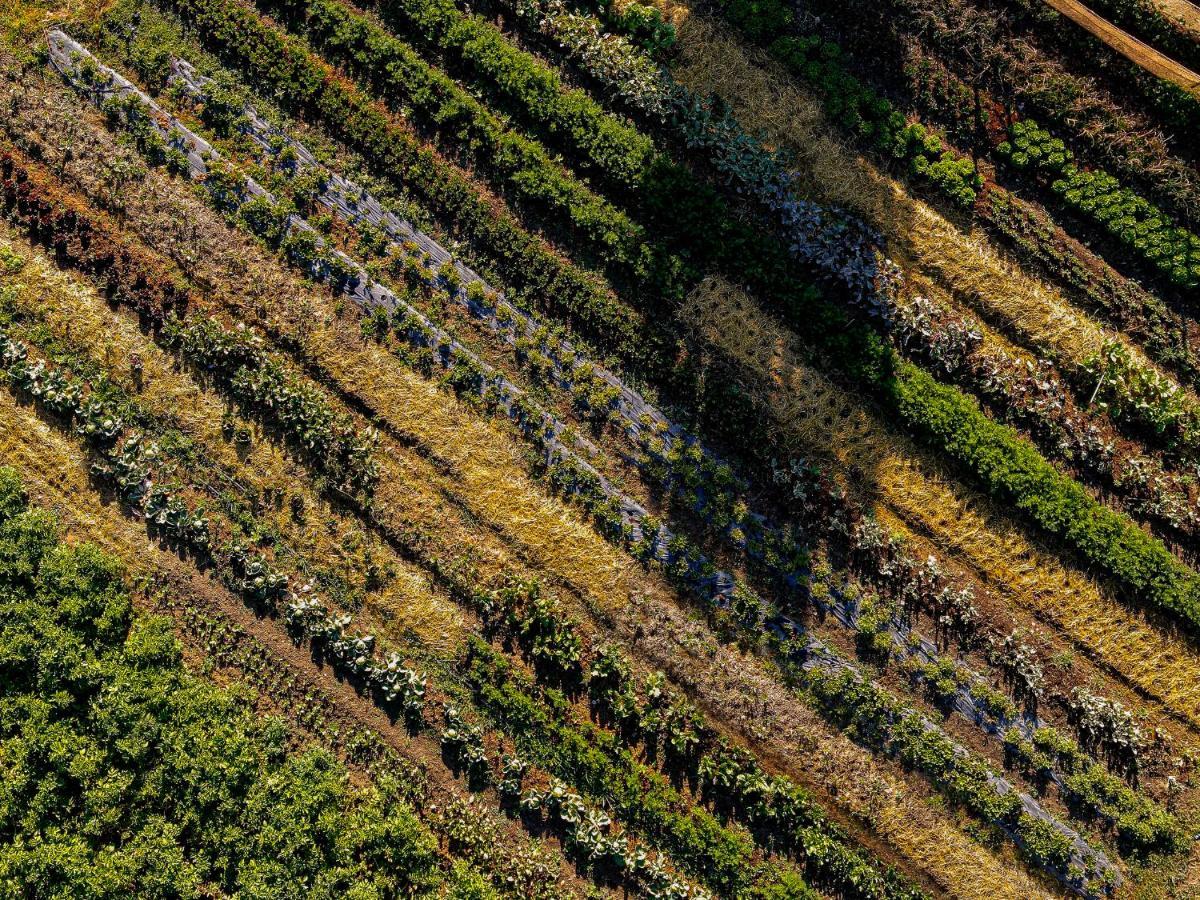 Agriturismo Biologico Autosufficienza Баньо-ди-Романья Экстерьер фото